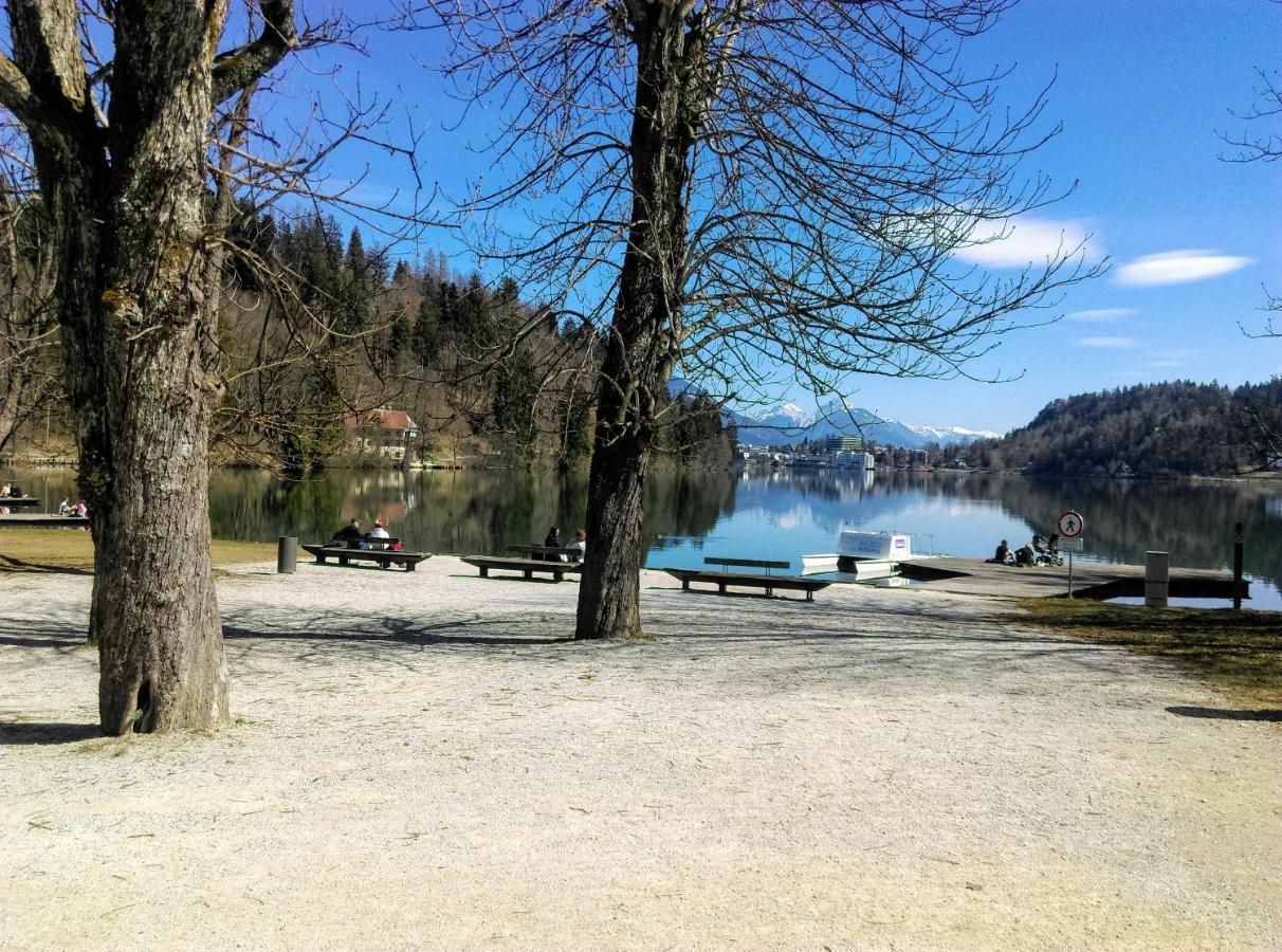 Penzion Zaka Bled Exterior photo